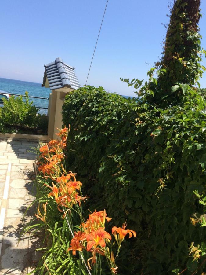 Aegean Blue Villa Platamonas Buitenkant foto